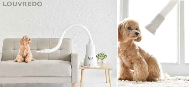 画像の説明 画像の説明